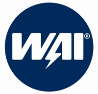 WAI Global Logo